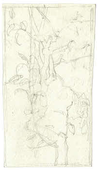 Visualizza l'immagine "FD D 1443"